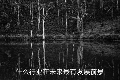 未来什么行业发展前景最好，什么行业在未来最有发展前景