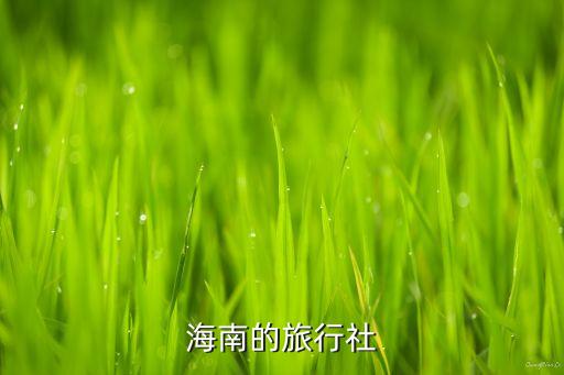 海南的旅行社