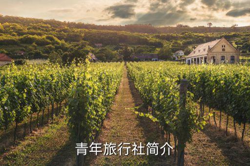 青年旅行社简介