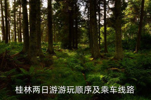 桂林两日游游玩顺序及乘车线路