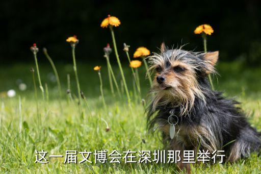 这一届文博会在深圳那里举行