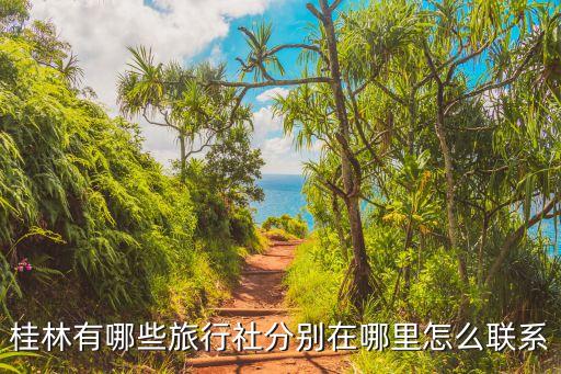 桂林有哪些旅行社分别在哪里怎么联系