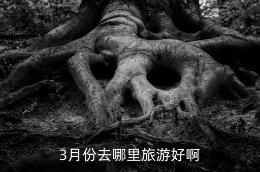 3月份去哪里旅游好啊