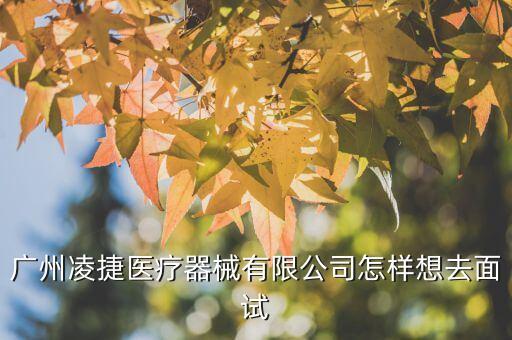 广州凌捷医疗器械有限公司怎样想去面试
