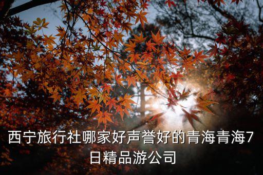 西宁旅行社哪家好声誉好的青海青海7日精品游公司