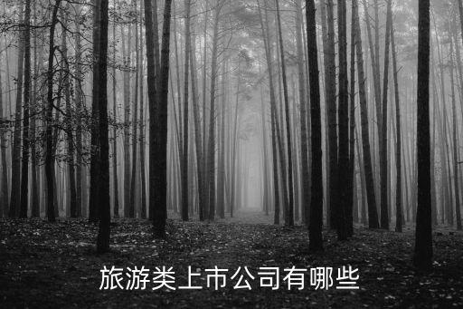 旅游类上市公司有哪些
