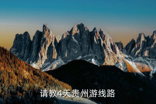 请教4天贵州游线路