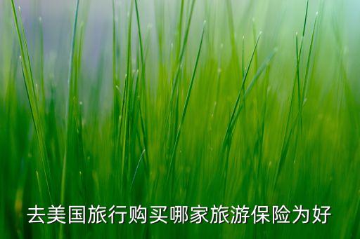 去美国旅行购买哪家旅游保险为好