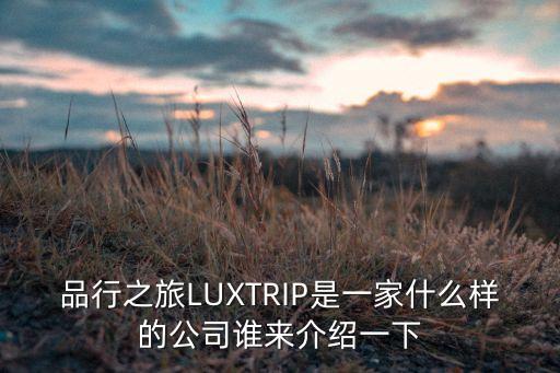 品行之旅LUXTRIP是一家什么样的公司谁来介绍一下