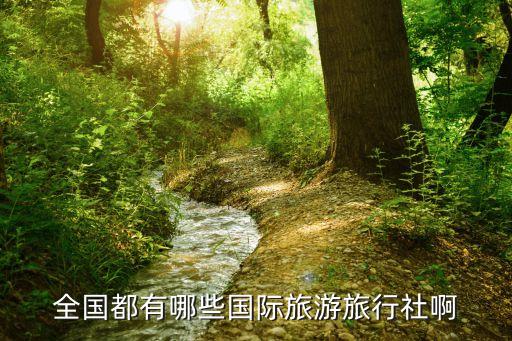 全国都有哪些国际旅游旅行社啊