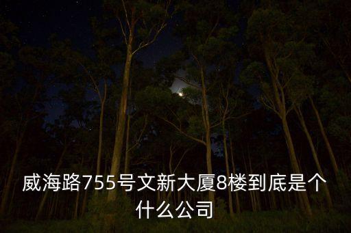 威海路755号文新大厦8楼到底是个什么公司