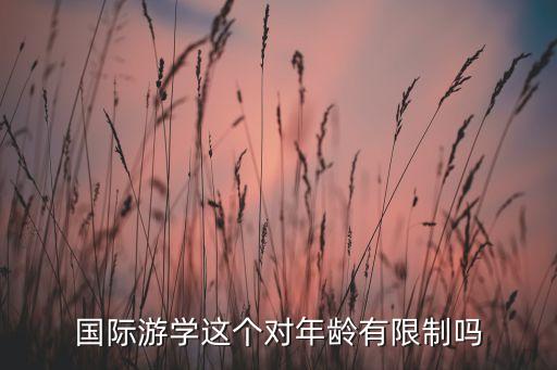 出国游学有年龄限制吗，国际游学这个对年龄有限制吗