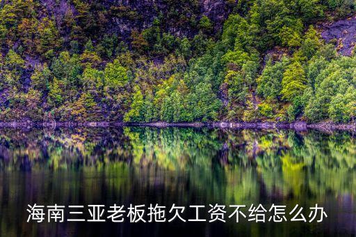 海南三亚半山半岛老板，赵本山在三亚圈了多少地