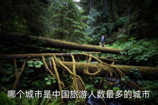 游客最多的城市排名，哪个城市是中国旅游人数最多的城市