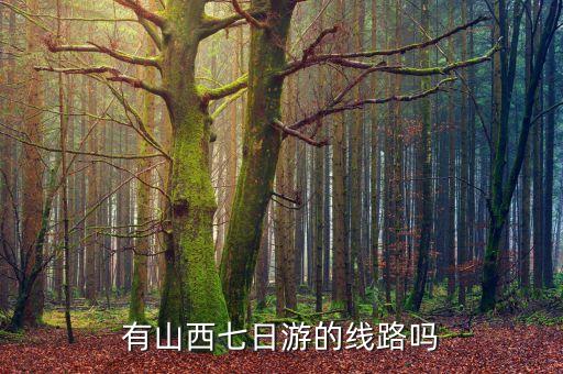 有山西七日游的线路吗