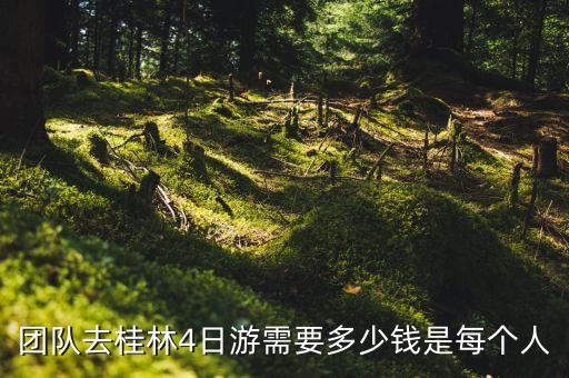 团队去桂林4日游需要多少钱是每个人