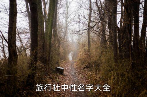 旅行社中性名字大全
