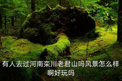 有人去过河南栾川老君山吗风景怎么样啊好玩吗