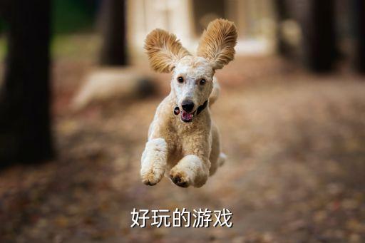 好玩的游戏