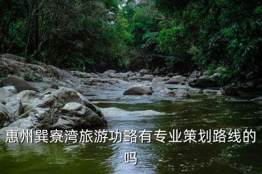 惠州巽寮湾旅游功略有专业策划路线的吗