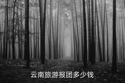 云南旅游报团多少钱