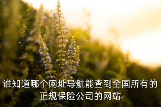 谁知道哪个网址导航能查到全国所有的正规保险公司的网站