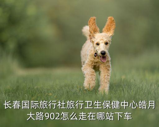 长春国际旅行社地址，长春国际旅行社旅行卫生保健中心皓月大路902怎么走在哪站下车