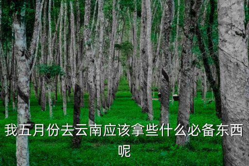 五月份去云南旅游需要带什么，我五月份去云南应该拿些什么必备东西呢