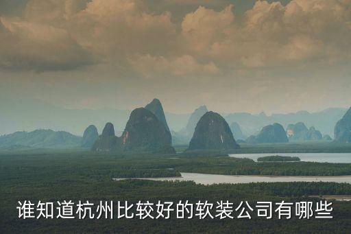 杭州遇见软装设计有限公司，杭州哪里有软装设计公司