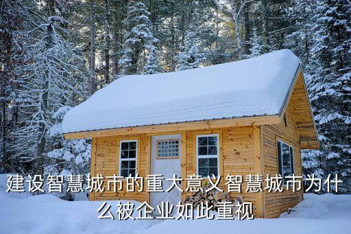 建设智慧城市的重大意义智慧城市为什么被企业如此重视