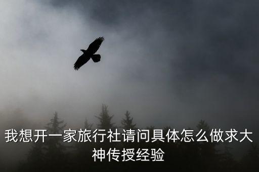 我想开一家旅行社请问具体怎么做求大神传授经验