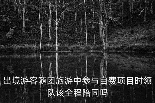 出境游客随团旅游中参与自费项目时领队该全程陪同吗