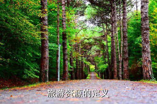 旅游资源的定义