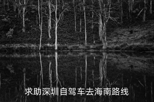 深圳到海口自驾游攻略，从深圳出发去自驾游去海口哪条路线最近