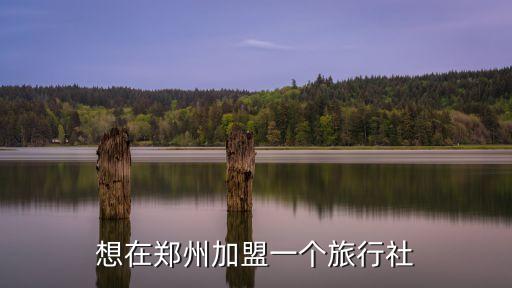 想在郑州加盟一个旅行社