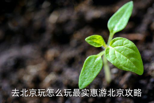 去北京玩怎么玩最实惠游北京攻略