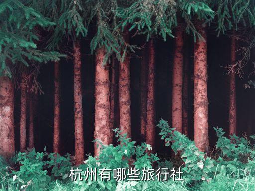 杭州有哪些旅行社