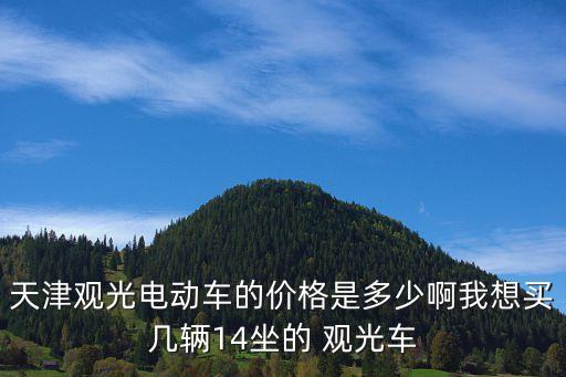 天津观光电动车的价格是多少啊我想买几辆14坐的 观光车
