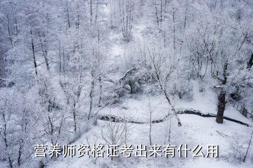 营养师资格证考出来有什么用