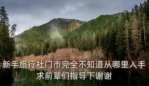 想开家旅行社怎么入手，本人想开一家旅行社不知道从哪怎么开始着手谢谢大家提供宝贵意