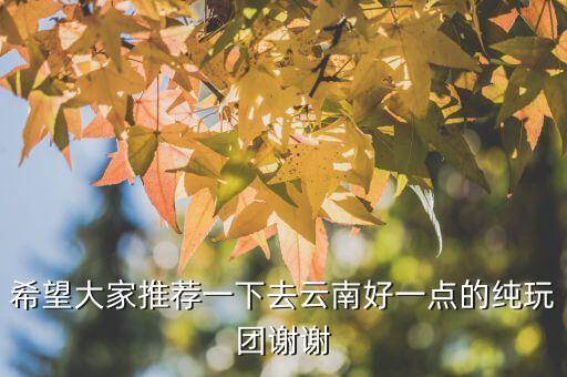 希望大家推荐一下去云南好一点的纯玩团谢谢