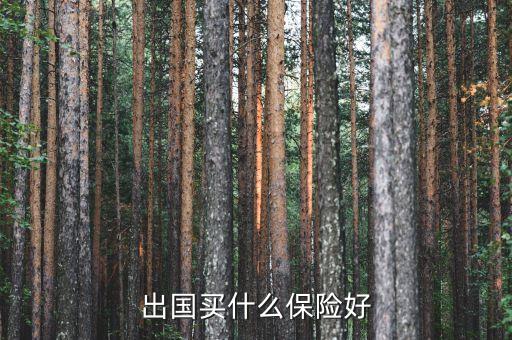 出国买什么保险好