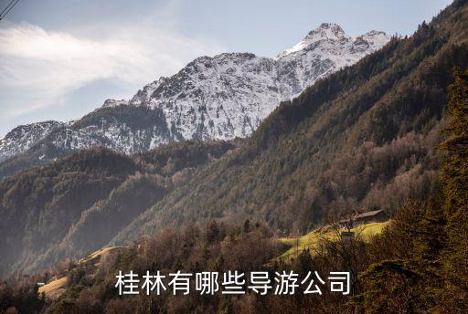 桂林导游服务，桂林导游服务怎么样