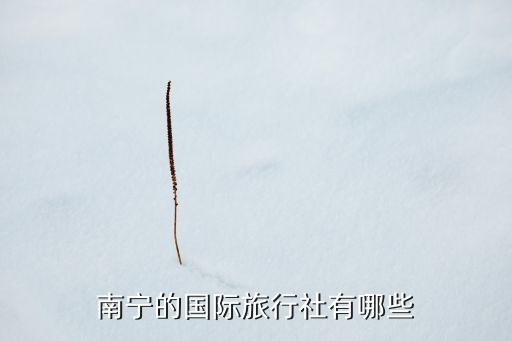 南宁的国际旅行社有哪些
