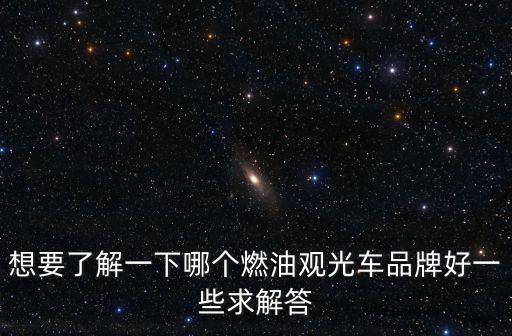 想要了解一下哪个燃油观光车品牌好一些求解答