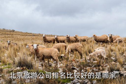 北京旅游公司排名比较好的是哪家
