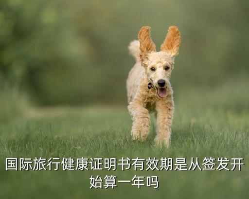 国际旅行健康证明书有效期是从签发开始算一年吗