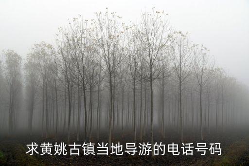 求黄姚古镇当地导游的电话号码