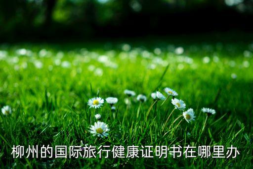 柳州的国际旅行健康证明书在哪里办