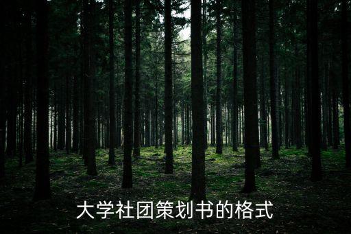 大学社团策划书的格式